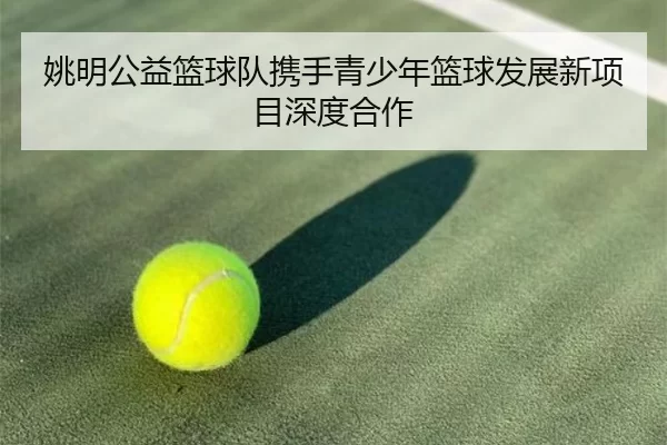 姚明公益篮球队携手青少年篮球发展新项目深度合作